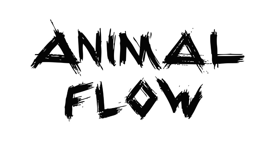 Kateřina Malá - Animal Flow